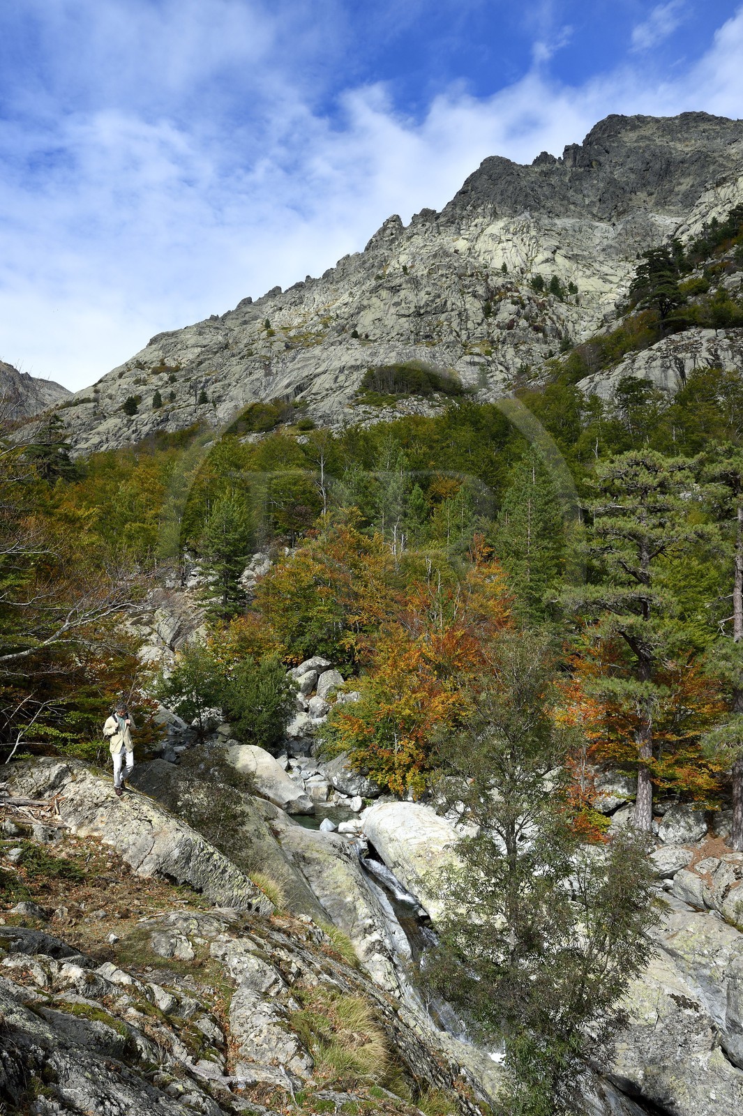 France, Haute Corse, Vivario, hiking on the GR 20, between Onda refuge and Vizzavona, Vizzavona forest, Englishmen cascades, waterfalls group in the Agnone valley under the Monte d'Oro