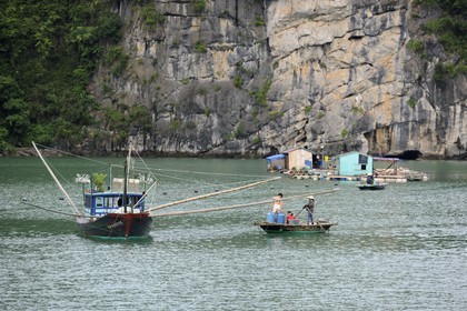Vietnam, province de Quang Ninh, la Baie d'Halong classée Patrimoine Mondial de l'UNESCO, village flottant de pêcheurs de Vong Vieng