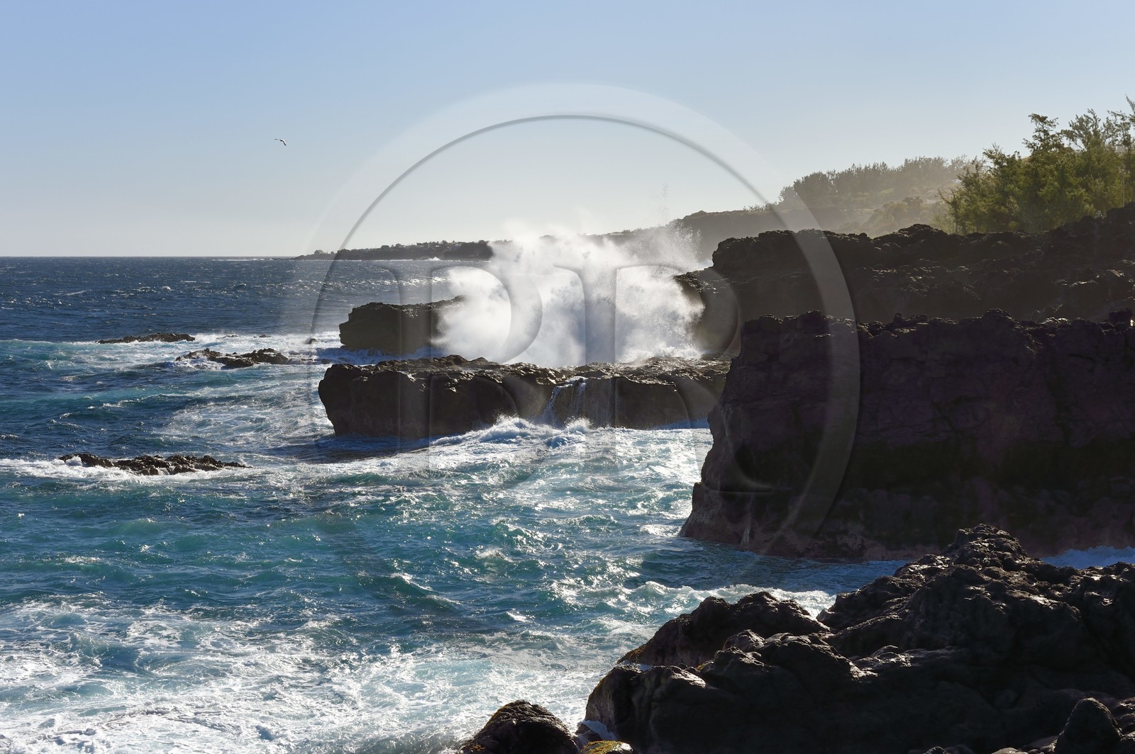 France, Ile de la Reunion, Saint-Pierre, Grands Bois, la côte de roches noires basaltiques d'origine volcanique tourmentées par l'océan