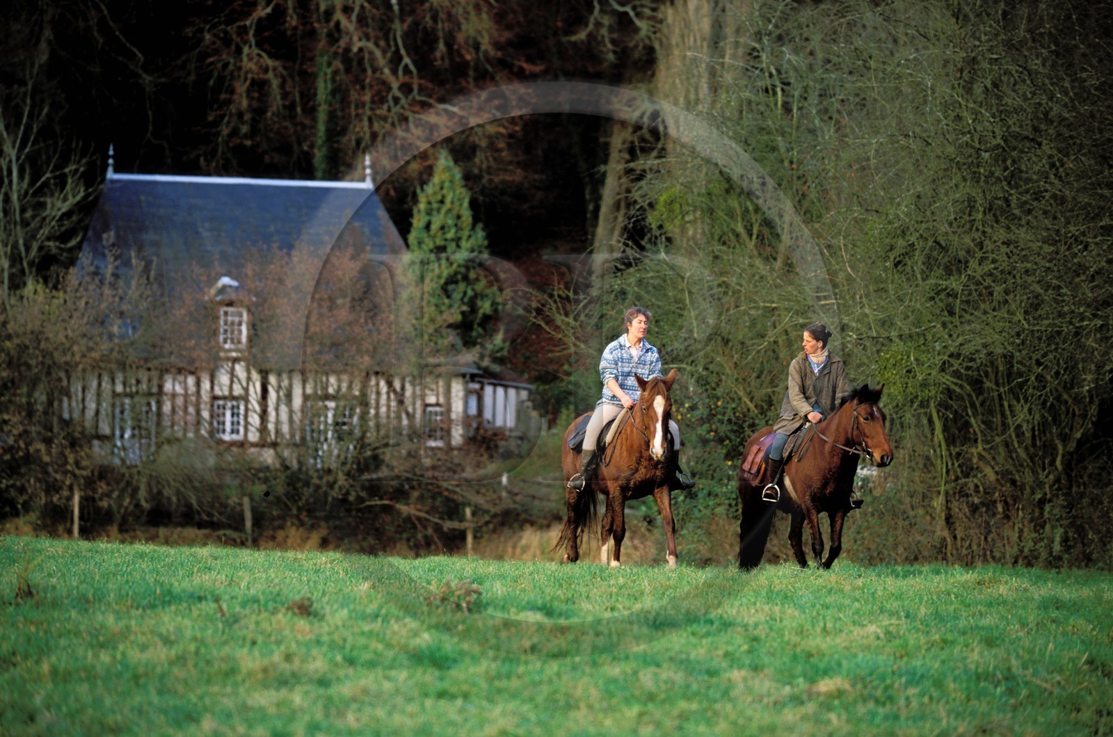 France, Eure, Brionne district, horse riding in the river Risle valley