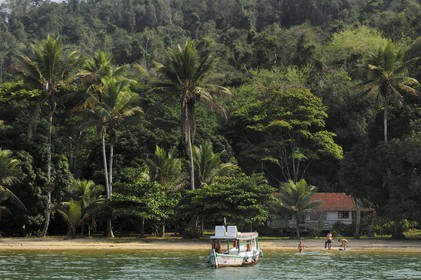 Brésil, Etat de Rio de Janeiro, plage dans la baie de Paraty
