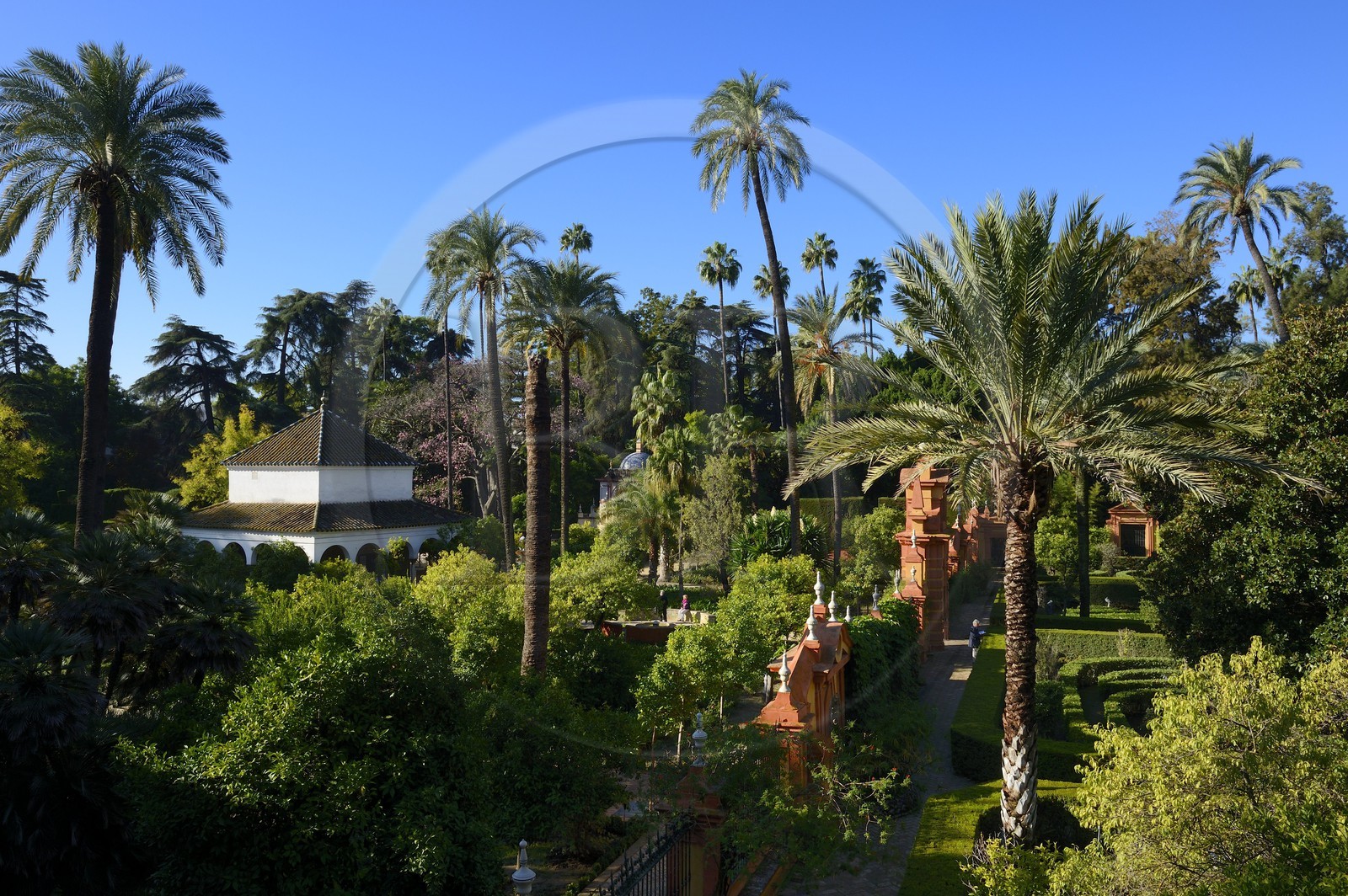 Espagne, Andalousie, Séville, Alcazar de Séville (Reales Alcazares de Sevilla), classé Patrimoine Mondial de l'UNESCO, les jardins et le pavillon de Carlos V