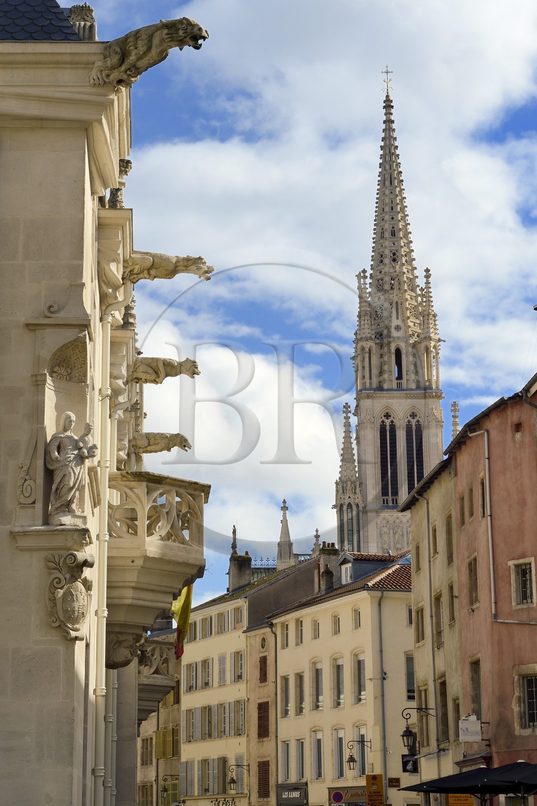 France, Meurthe-et-Moselle (54), Nancy, les gargouilles du Palais Ducal (Palais des Ducs de Lorraine) qui abrite le Musée historique lorrain et la basilique Saint-Epvre en arrière plan