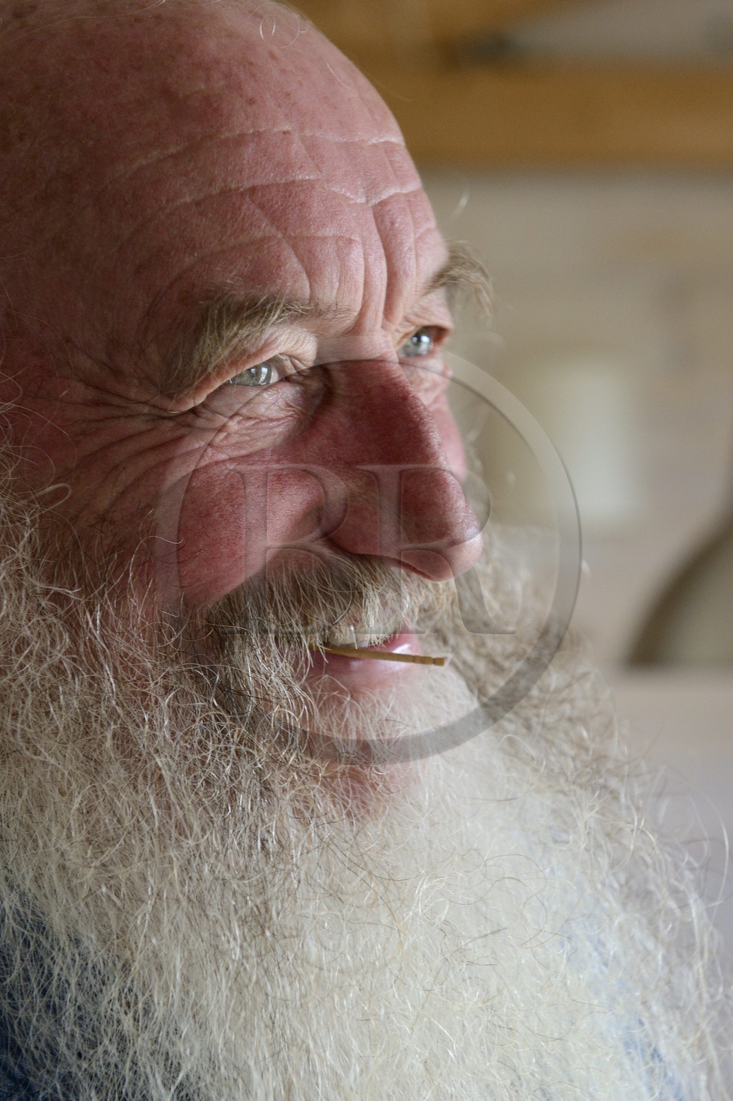 France, Finistère (29), parc naturel régional d'Armorique, Monts d'Arrée, le chanteur et conteur Patrik Ewen