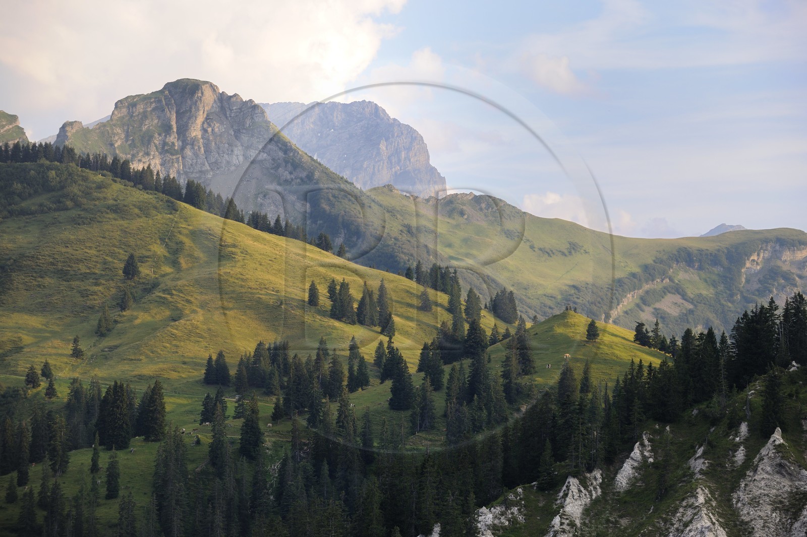 Suisse, canton de Vaud, Les Diablerets au Col de la Croix