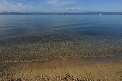 France, Var (83), Iles d'Hyères, parc national de Port Cros, Ile de Porquerolles, plage de la Courtade