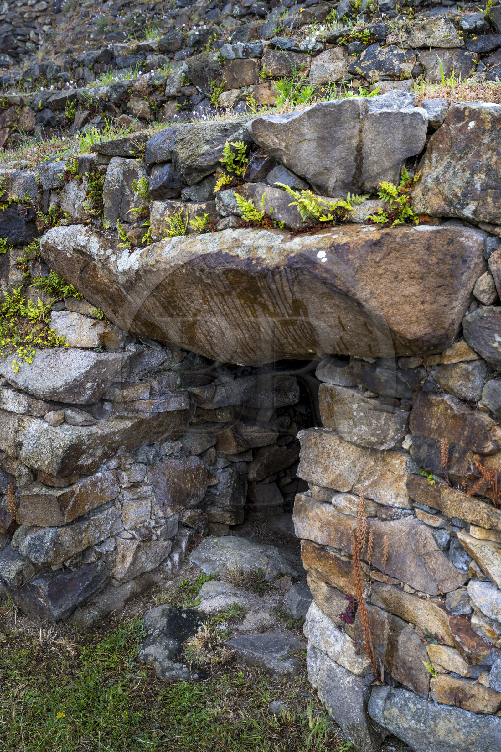 France, Finistère (29), Baie de Morlaix, Presqu'ïle de Kernehelen, site mégalithique du Cairn de Barnenez vieux de 6000 ans, dolmen à couloir, une des entrées de chambres