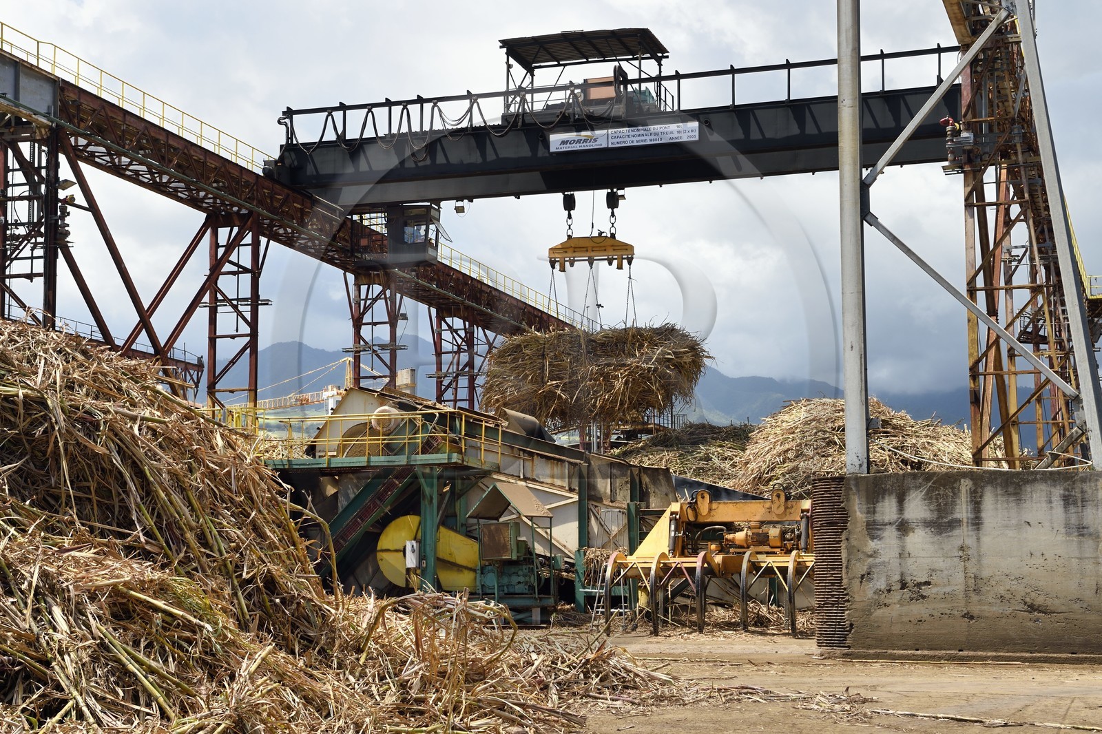 France, Ile de la Reunion, Saint-Louis, l'usine sucrière du Gol, transfert de la canne à sucre vers l'usine