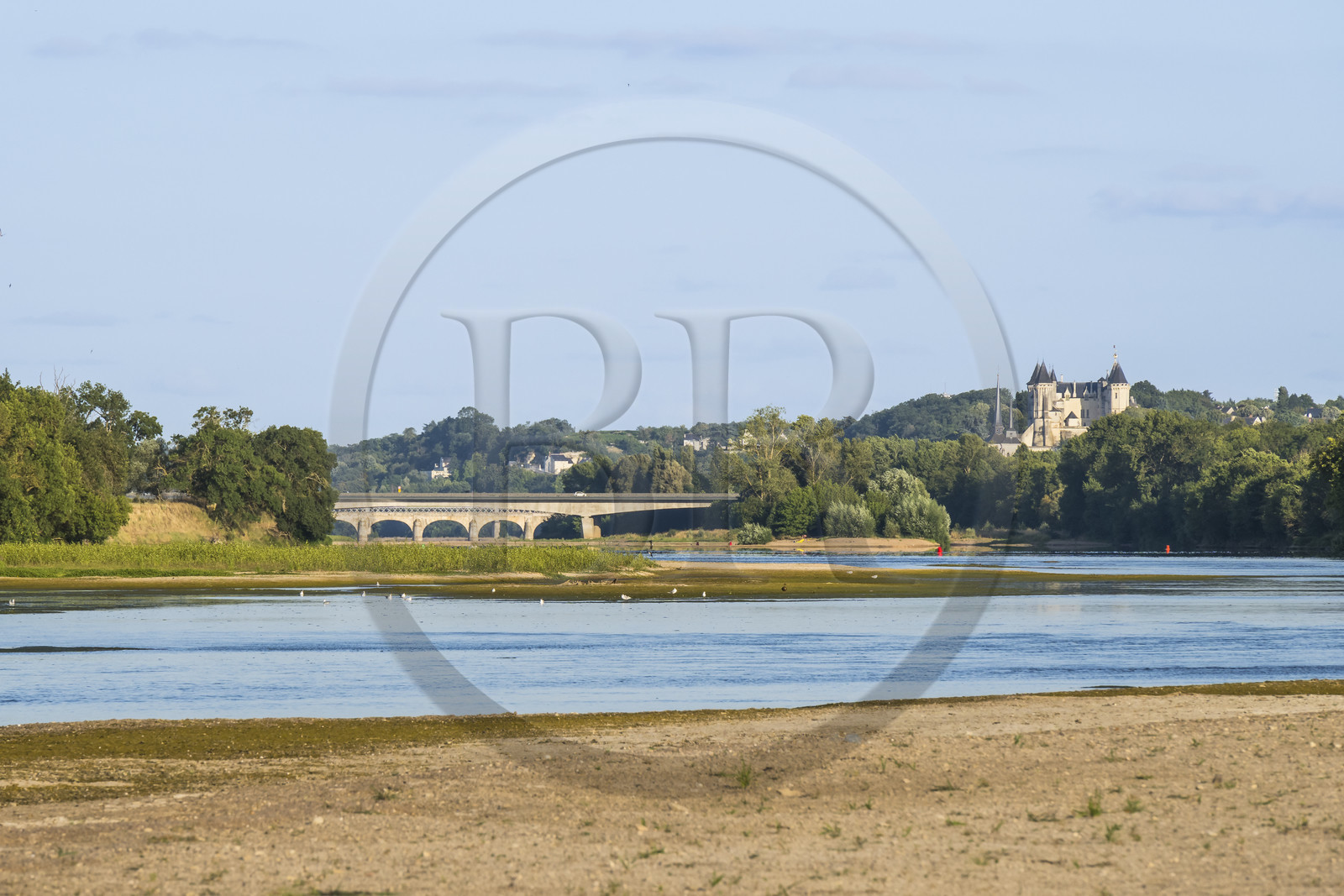 France, Maine-et-Loire (49), vallée de la Loire classée au Patrimoine Mondial par l'UNESCO, bancs de sable formant des îles sur la Loire et le chateau de Saumur en arrière plan