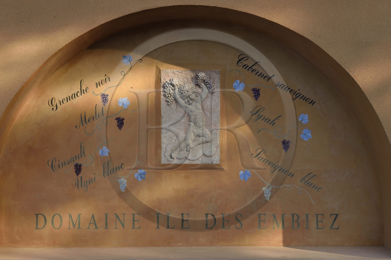 France, Var (83), Ile des Embiez, le domaine viticole