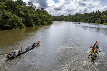 France, French Guiana, Kourou, Camp Maripas, race of two P12 pirogue (traditional Guyanese pirogue adapted in resin) on the Kourou River (aerial view)