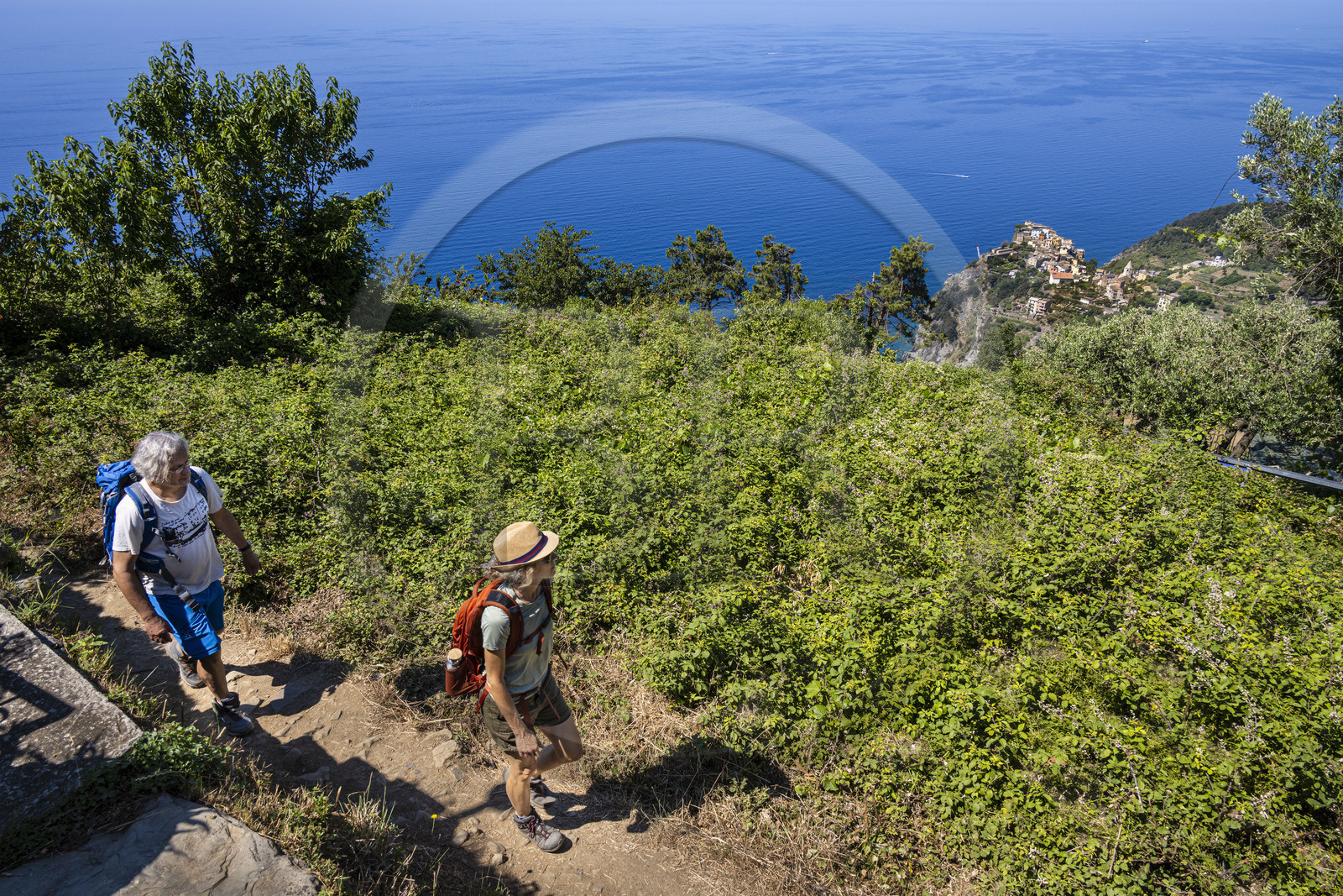 Italie, Ligurie, Cinque Terre, parc national des Cinque Terre classé Patrimoine Mondial de l'UNESCO, randonneurs montant sur le sentier GR 586 entre Corniglia et Volastra au dessus de Manarola, le village de  Corniglia en arrière plan