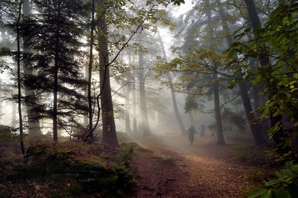 France, Bas-Rhin (67), Mont Saint-Odile, randonnée en VTT le long du Mur Païen