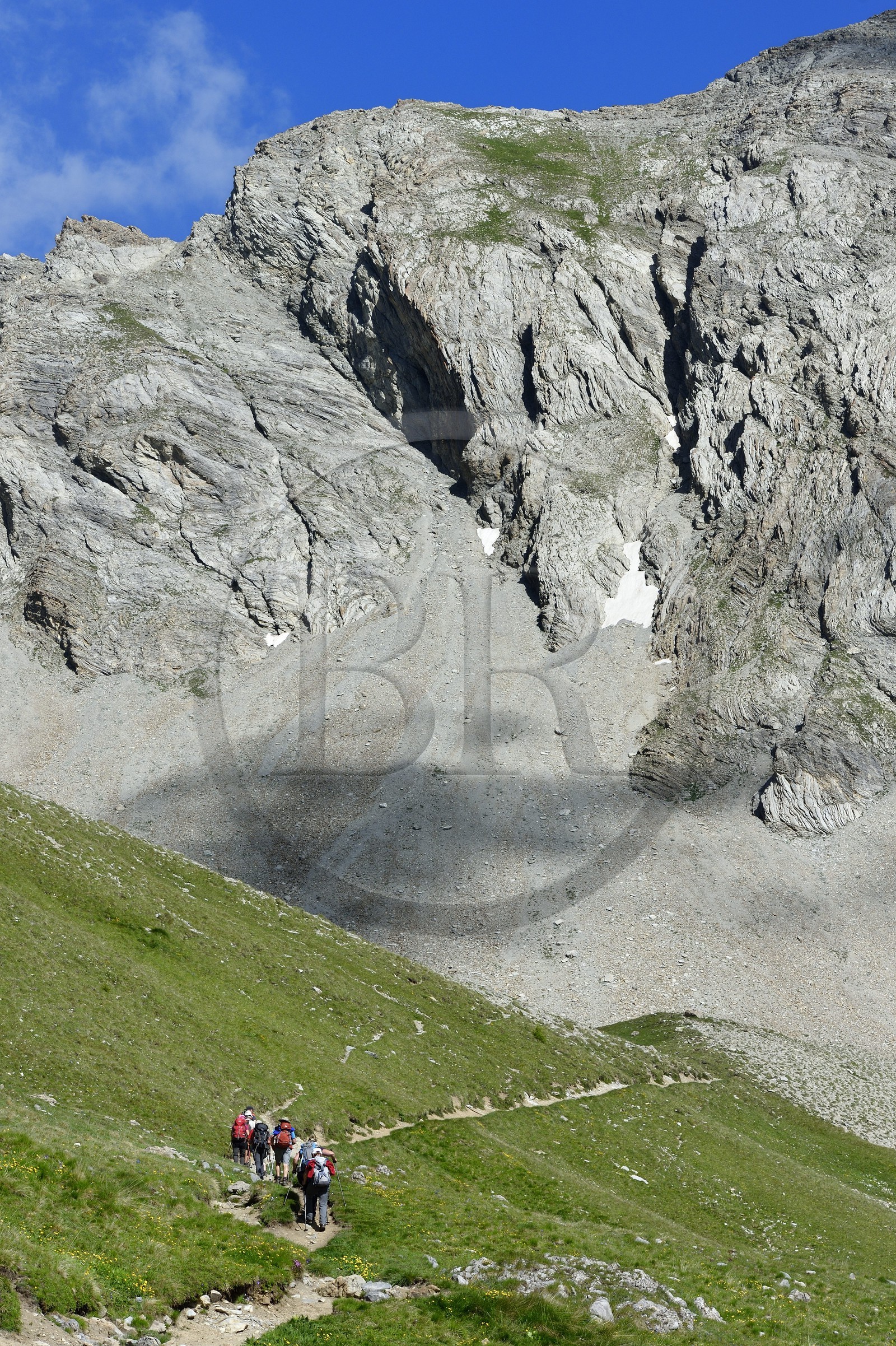 France, Alpes-de-Haute-Provence (04), Uvernet-Fours, parc national du Mercantour, vallée de l'Ubaye, col de la Cayolle (2326 m), sentier de randonnée qui grimpe à travers la pelouse alpine sur le circuit des lacs sous le sommet de la montagne du Trou de l’Aigle