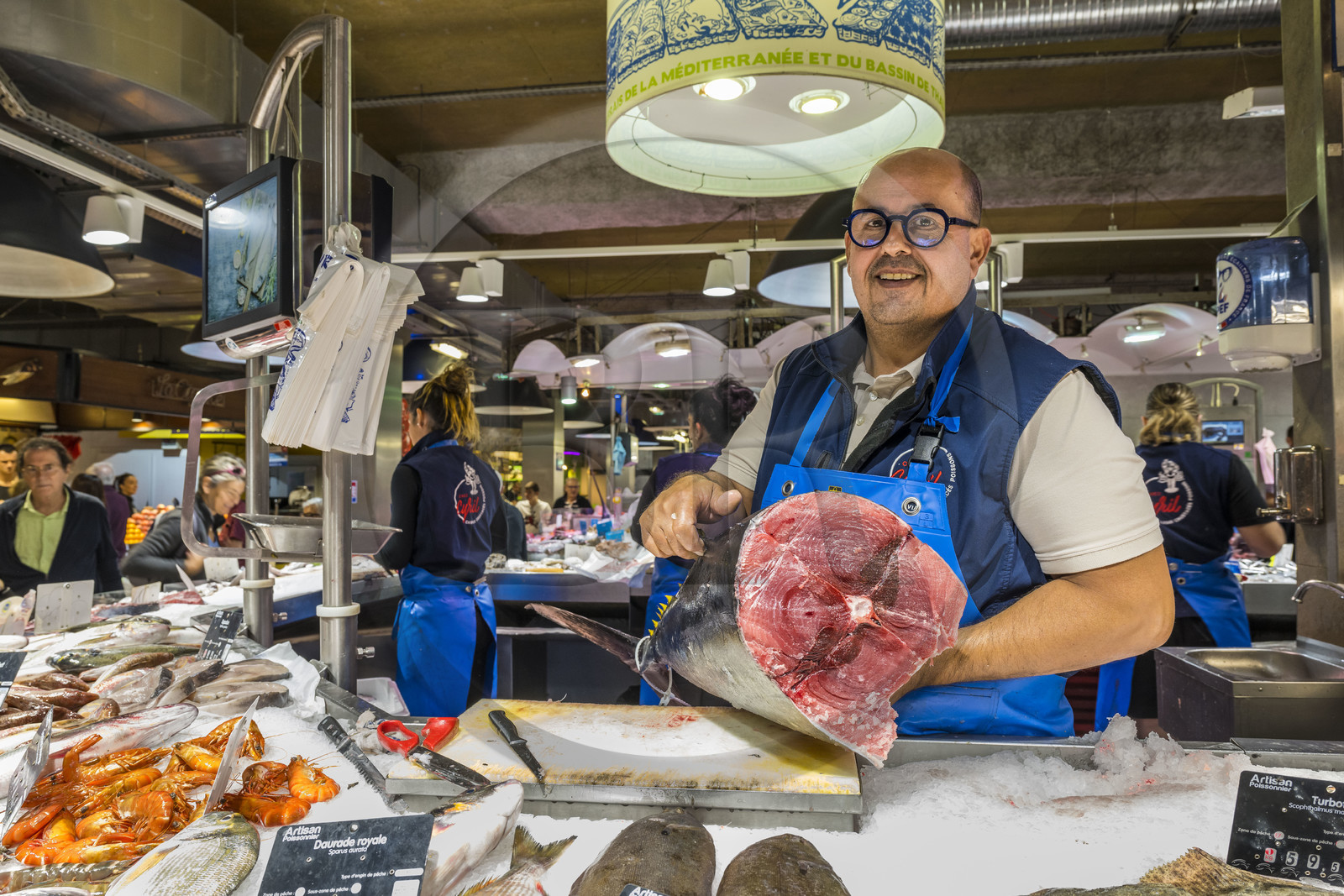 France, Hérault (34), Sète, Les Halles, marché couvert, étal du poissonnier Chez Cyril, Cyril Caumette présente un thon rouge