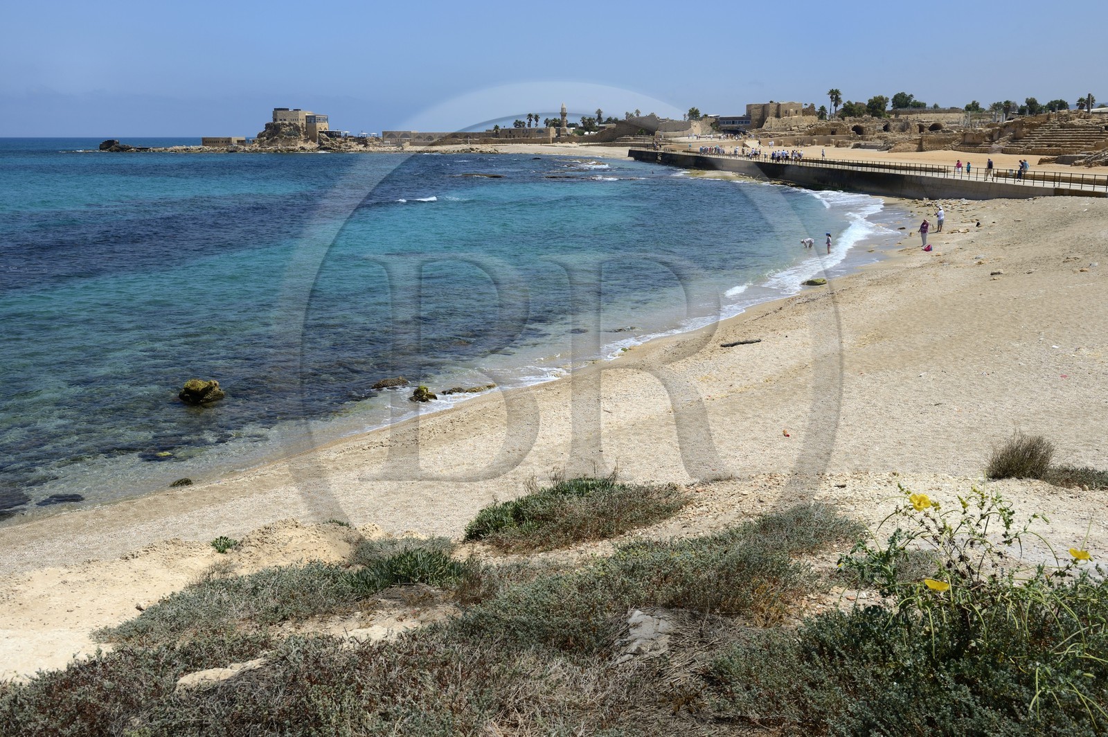Israël, district d'Haifa, Césarée (Caesarea Maritima), ruines de Césarée et la citadelle croisée en arrière plan