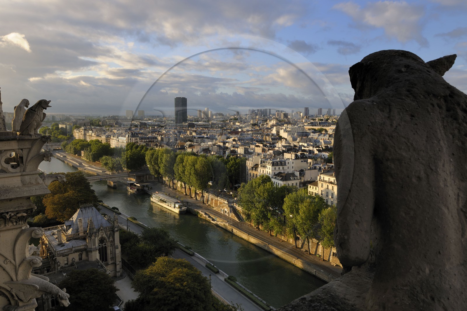 France, Paris (75), les rives de la Seine classées Patrimoine Mondial de l'UNESCO, île de la Cité, la cathédrale Notre-Dame, les chimères observent la ville