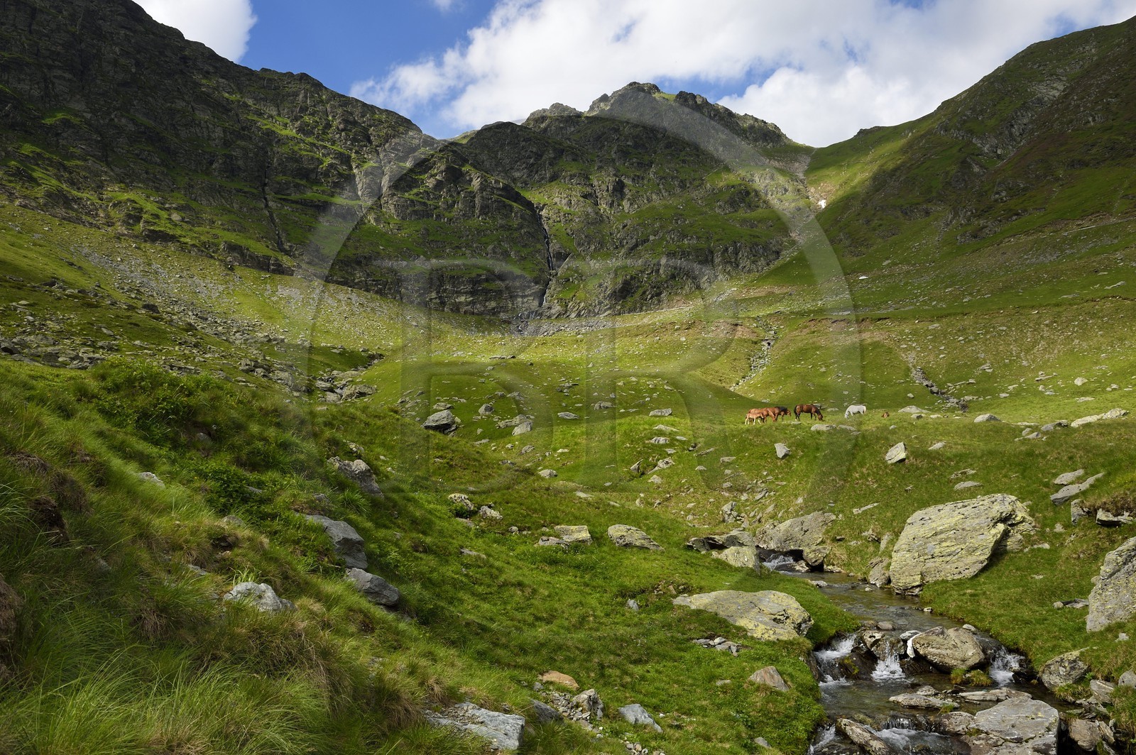 Roumanie, Valachie, Muntenie, Comté de Arges, les monts Fagaras le long de la Route Transfagarasan dans les Carpates du Sud