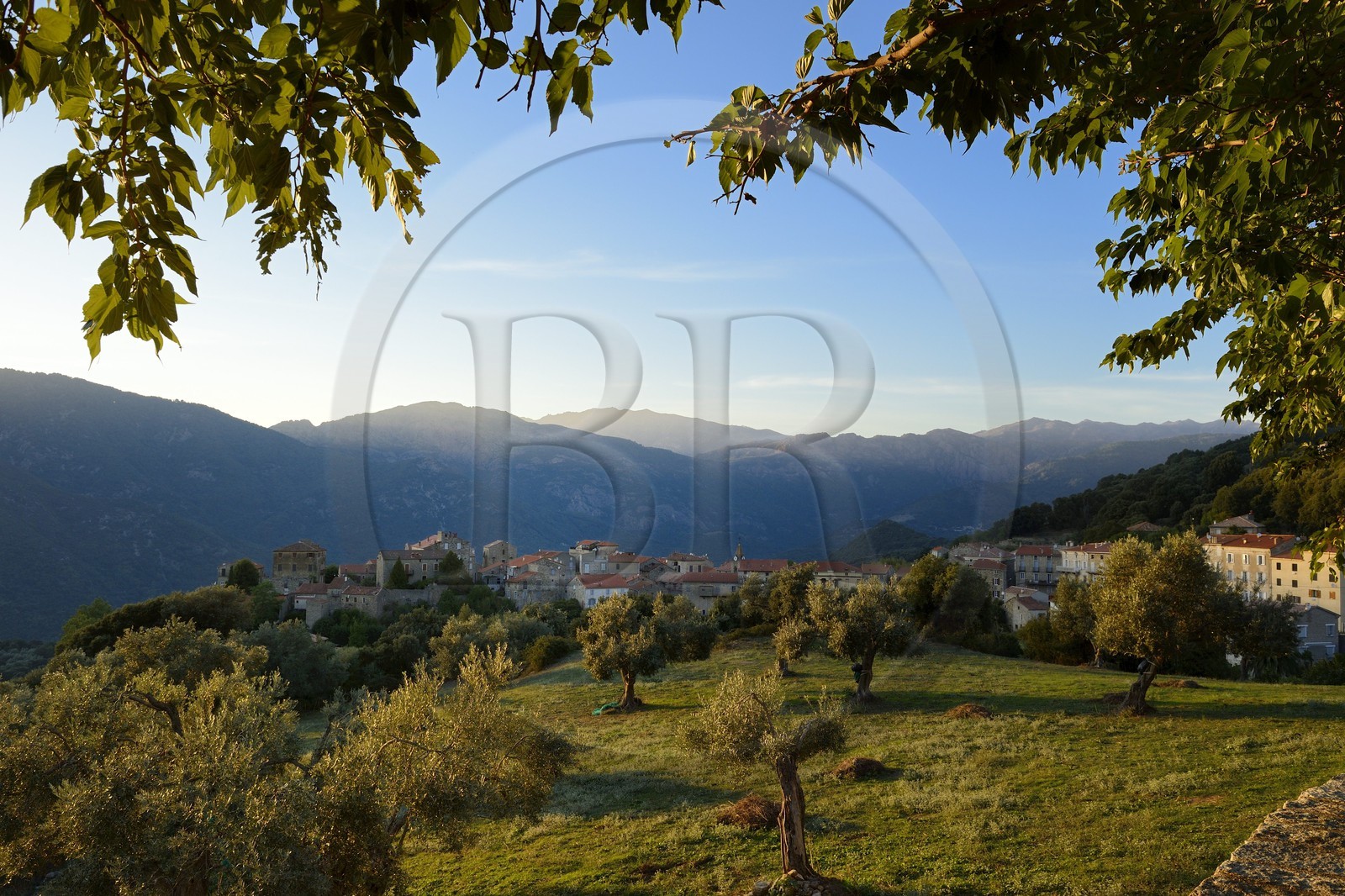 France, Corse-du-Sud (2A), Alta Rocca, Sainte-Lucie-de-Tallano (Santa Lucia di Tallà)