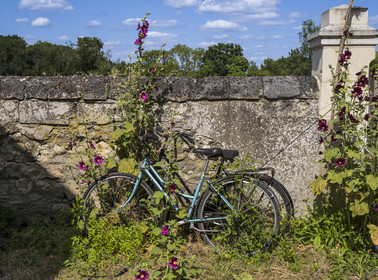 France, Maine-et-Loire (49), vallée de la Loire classée au Patrimoine Mondial par l'UNESCO, Gennes-Val-de-Loire, librairie-café L'Idiot de l'association Gabare And Co dans l'ancienne école des Filles de Chênehutte, bicyclette adossée à un mur
