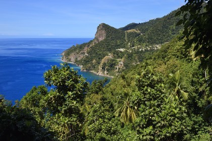 Caribbean, Dominica Island, Soufriere Bay, in the mountains of the south of the island along Segment 1 of the Waitukubuli National Trail between Scotts Head Village and Soufriere Estate