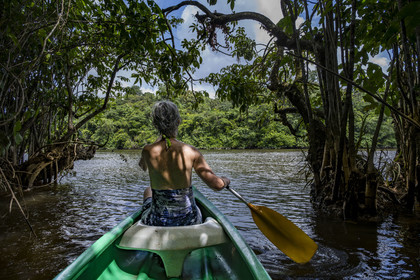 France, French Guiana, Kourou, Maripas camp in the rainforest, canoe trip to discover a crique (creek), a small river, tributary of the Kourou River