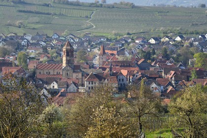 France, Bas-Rhin (67), Route des vins d'Alsace, Rosheim entouré de vignoble