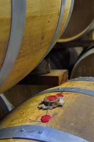 France, Charente (16), Sireuil, Distillerie des Moisans, dans les chais de vieillissement et d'assemblages, cognac millésimé et scellé à la cire, ne pouvant être ouvert que en présence d'un huissier
