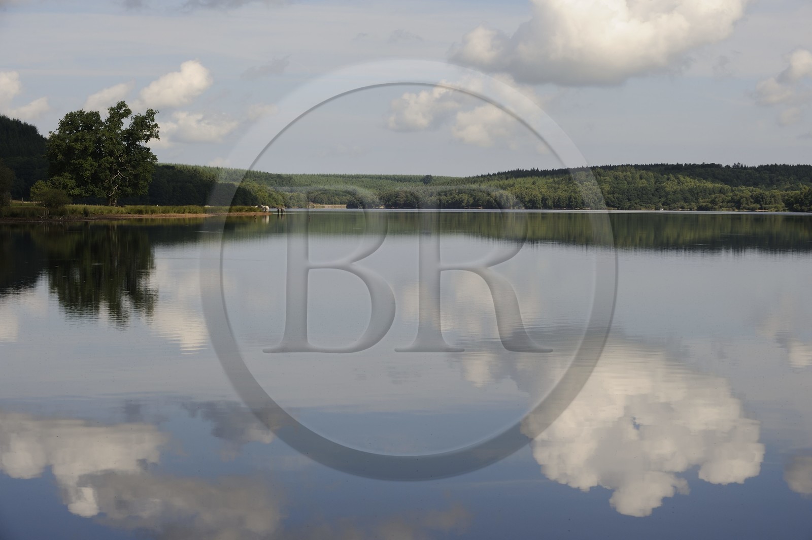 France, Nièvre (58), lac de Saint-Agnan