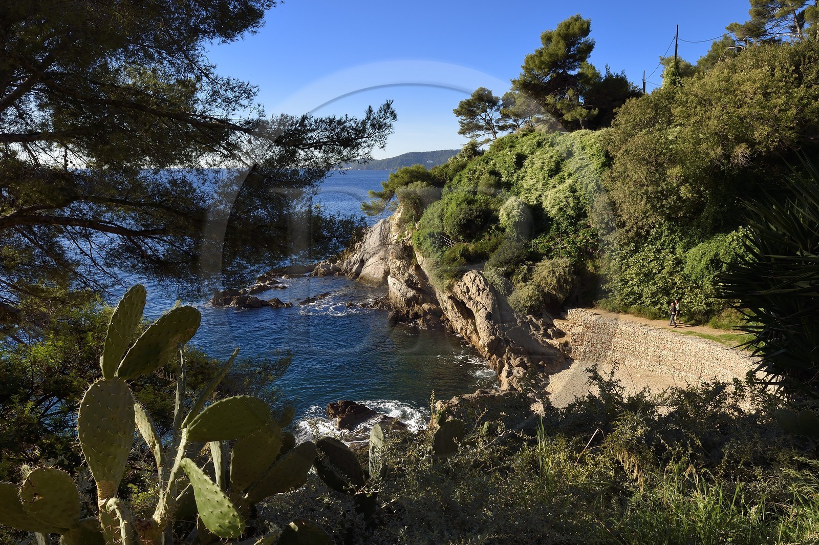 France, Var (83), la rade de Toulon, cap Brun
