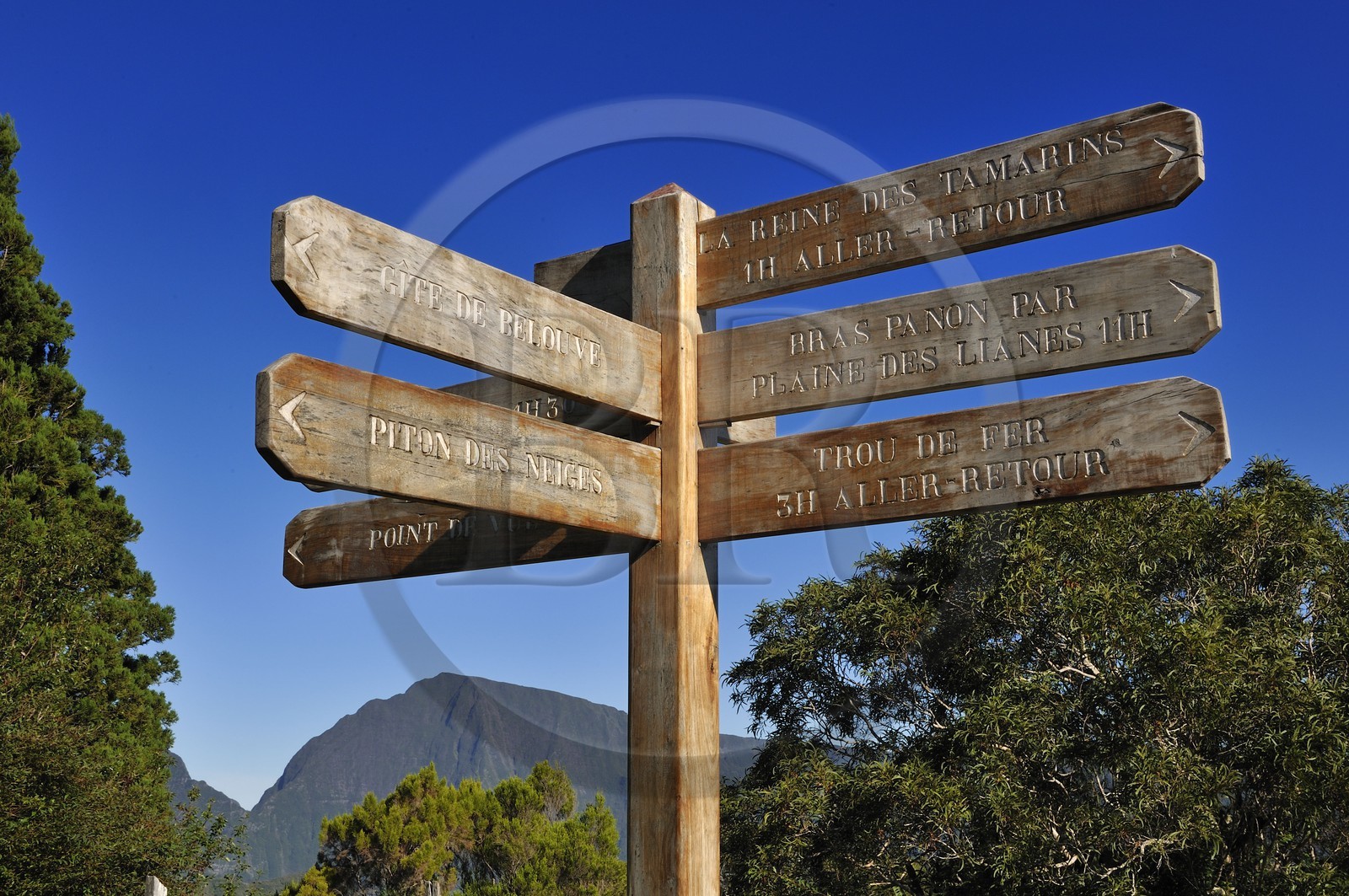 France, île de la Réunion, forêt de Bélouve, panneaux indicateurs des randonnées au gîte de Bélouve