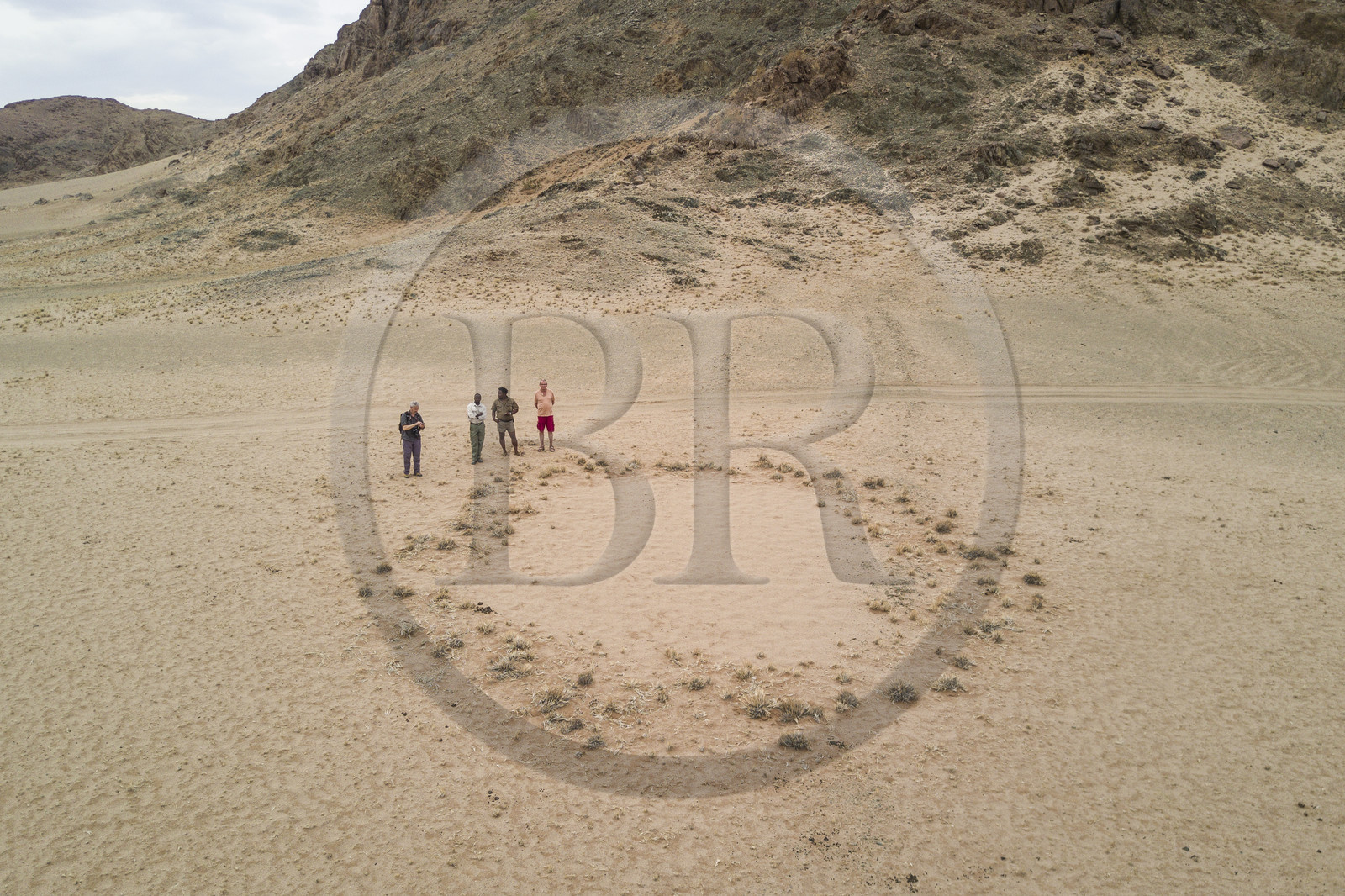 Namibia, Hardap region, Namib Desert East of the Namib Naukluft National Park towards Sossusvlei, fairy circles in the grass covered desert plain, small circular areas without vegetation and of globally rounded or hexagonal shape (aerial view)