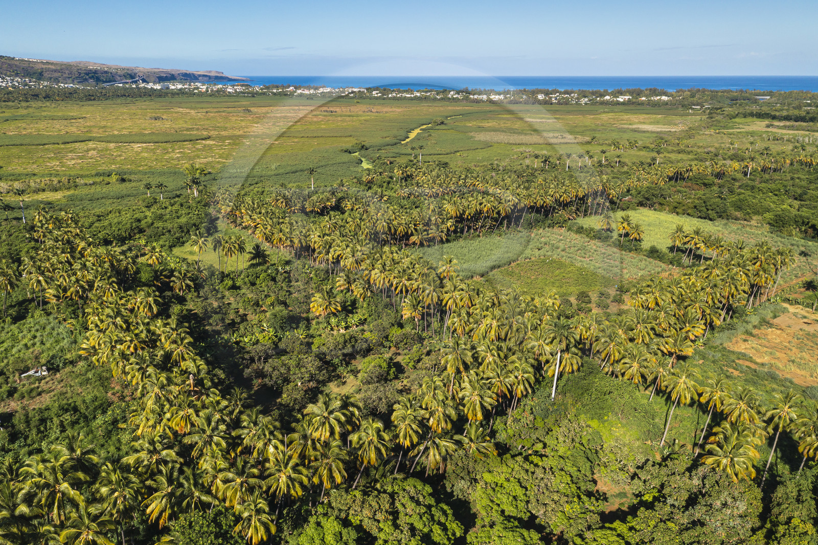 France, Ile de la Reunion, Saint-Paul, cultures et plantations d'arbres fruitiers en bordure de la réserve naturelle nationale de l'Etang de Saint-Paul (vue aérienne)
