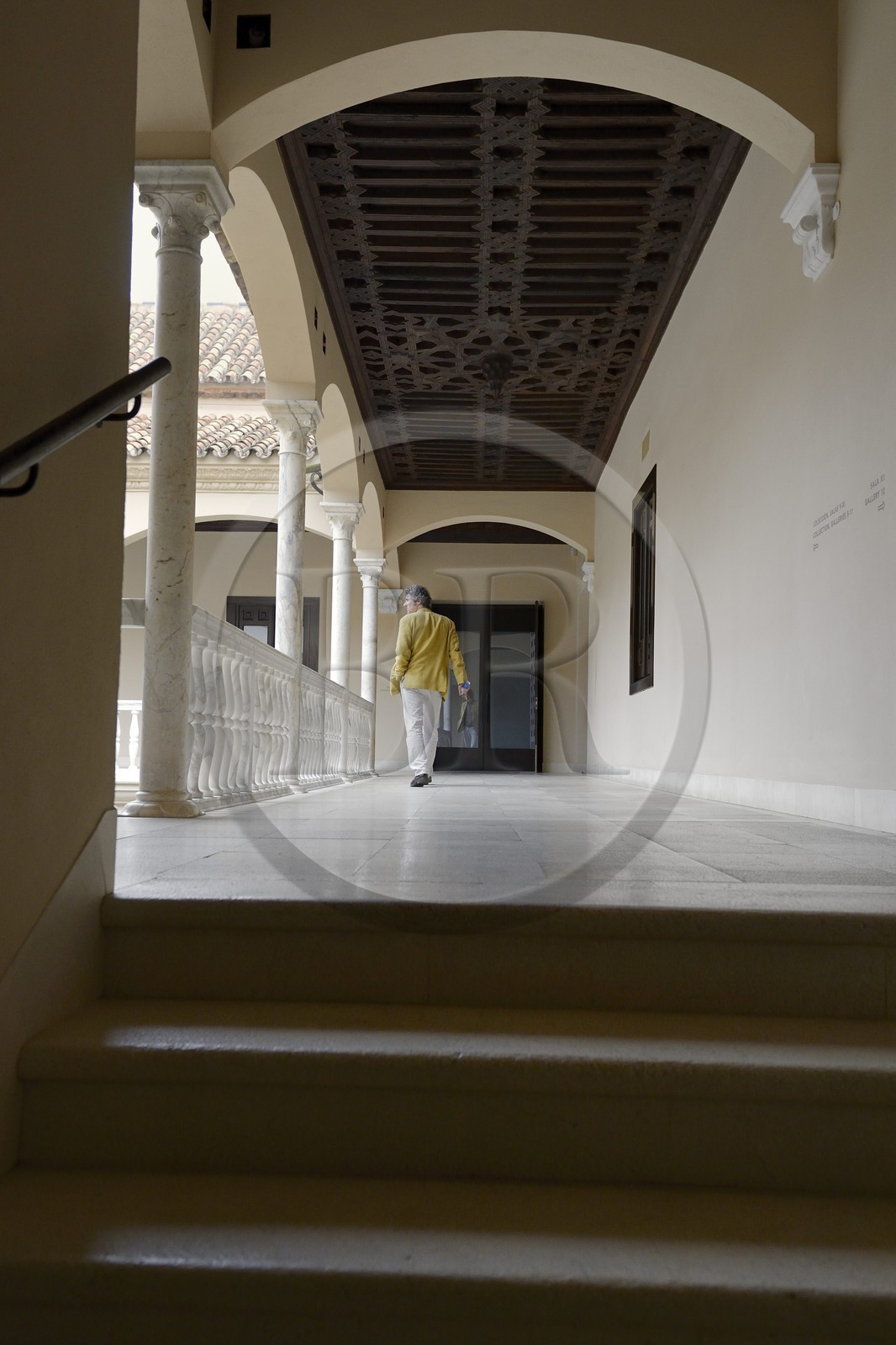 Espagne, Andalousie, Malaga, Musée Picasso qui occupe le Palais de Buenavista