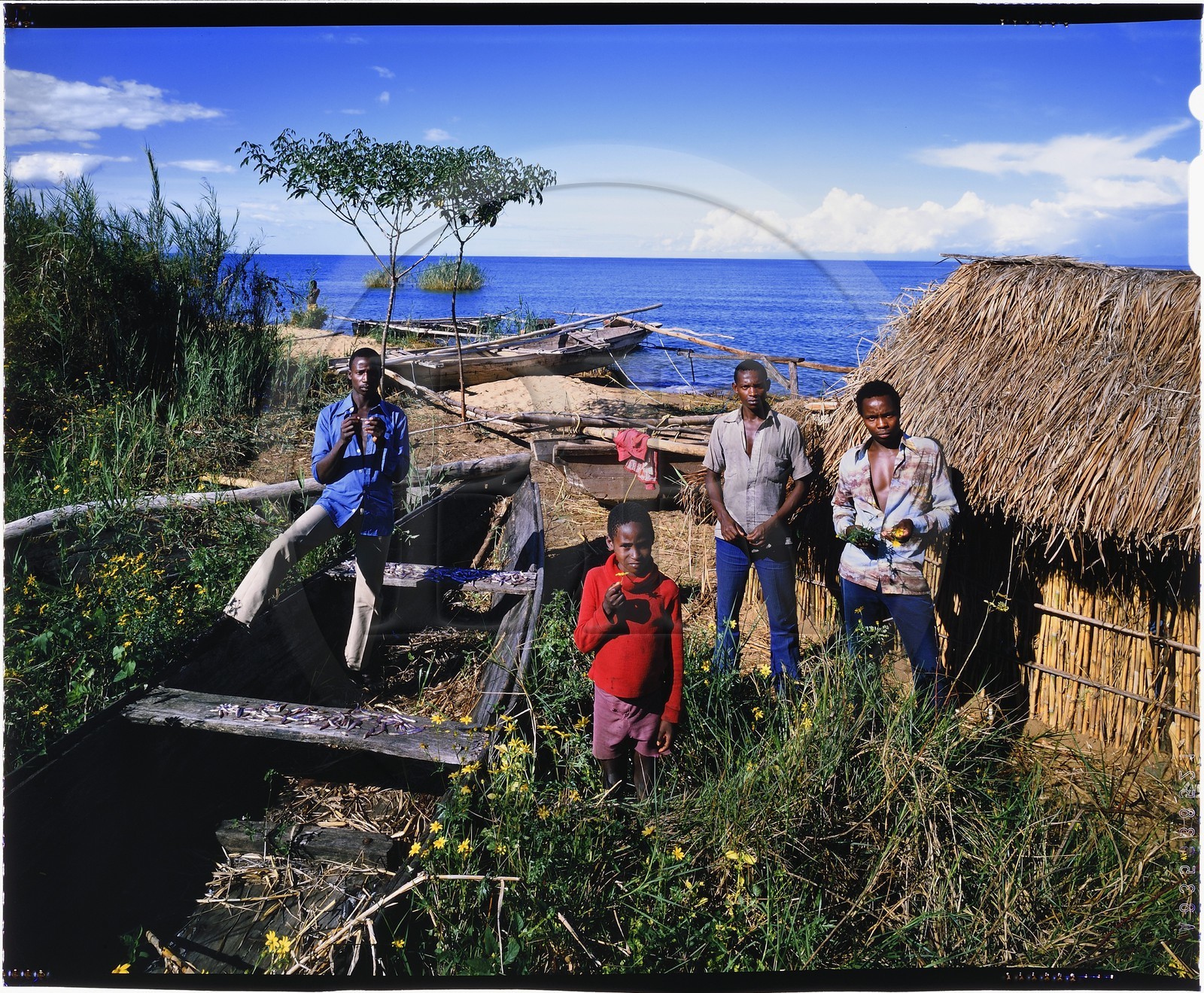 Burundi, Rumonge Province, group of fishermen on Lake Tanganyika, fishermen are exclusively Hutu and come down from the  hills to settle in temporary huts for at least 6 months, fishing is generally done at night with lampara and it's mainly ndagalas (fried fish) mukekes and Lates niloticus (4x5 reversal film reproduction)