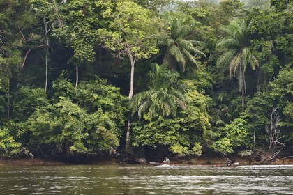 Gabon, Province du Moyen-Ogooué, région de Lambaréné, pirogue à moteur remontant le fleuve Ogooué