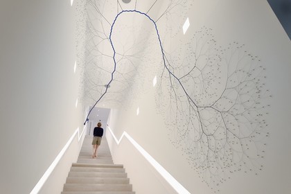 France, Var, Iles d'Hyeres, Parc National de Port Cros (National park of Port Cros), Porquerolles island, Fondation Carmignac, Ciclotrama 50 (wind) (2018) by Janaina Mello Landini