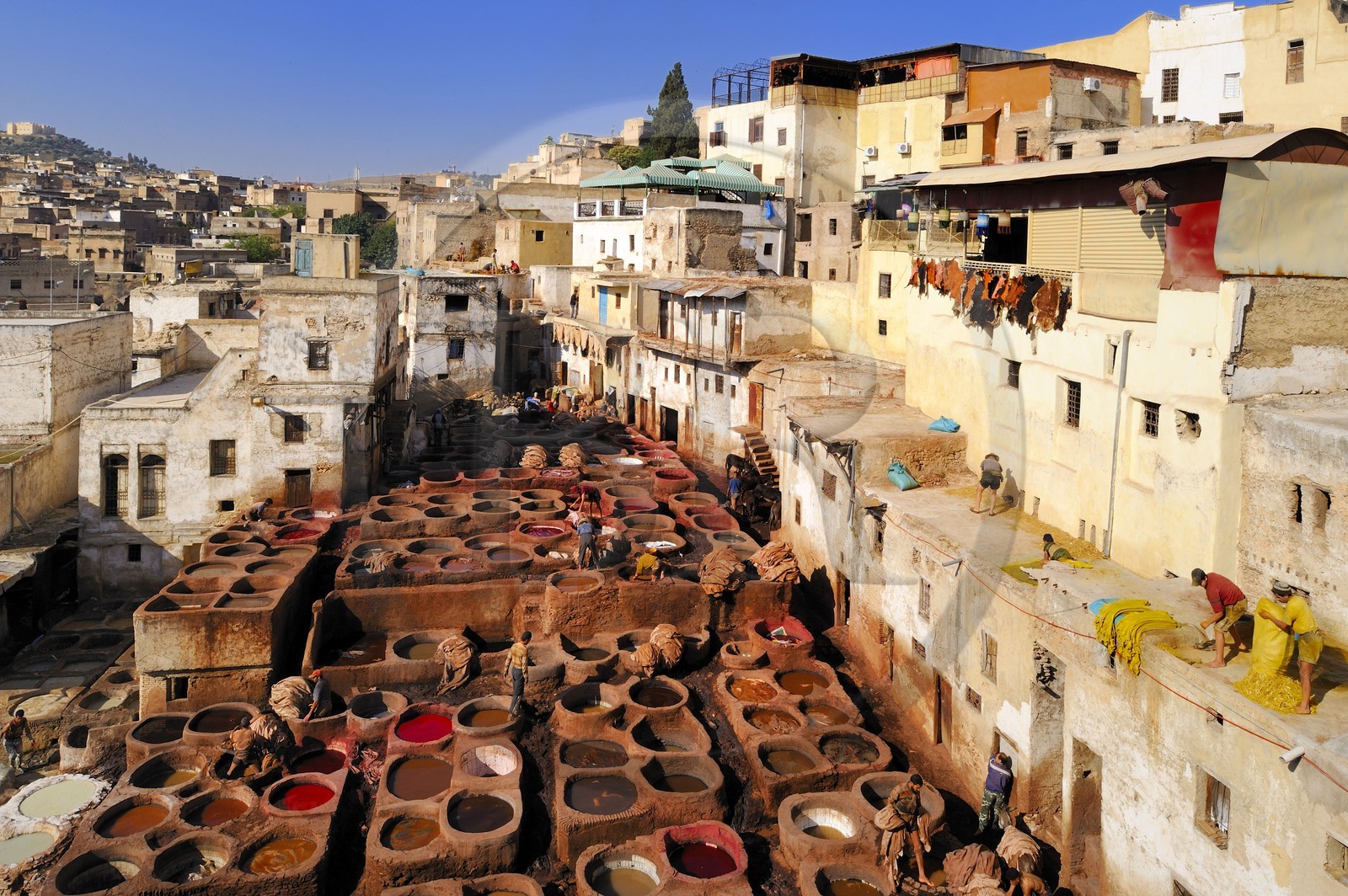 Maroc, Moyen Atlas, Fès, ville impériale, médina classée Patrimoine Mondial de l'UNESCO, Fès el Bali, quartier des tanneurs, Chouara