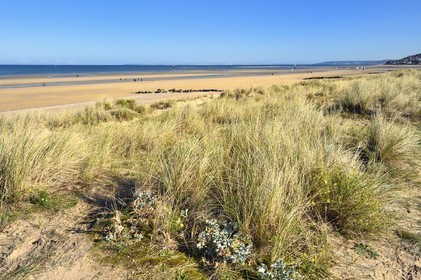 France, Calvados (14), Pays d'Auge, la côte Fleurie, Cabourg, les dunes de la plage de la station balnéaire