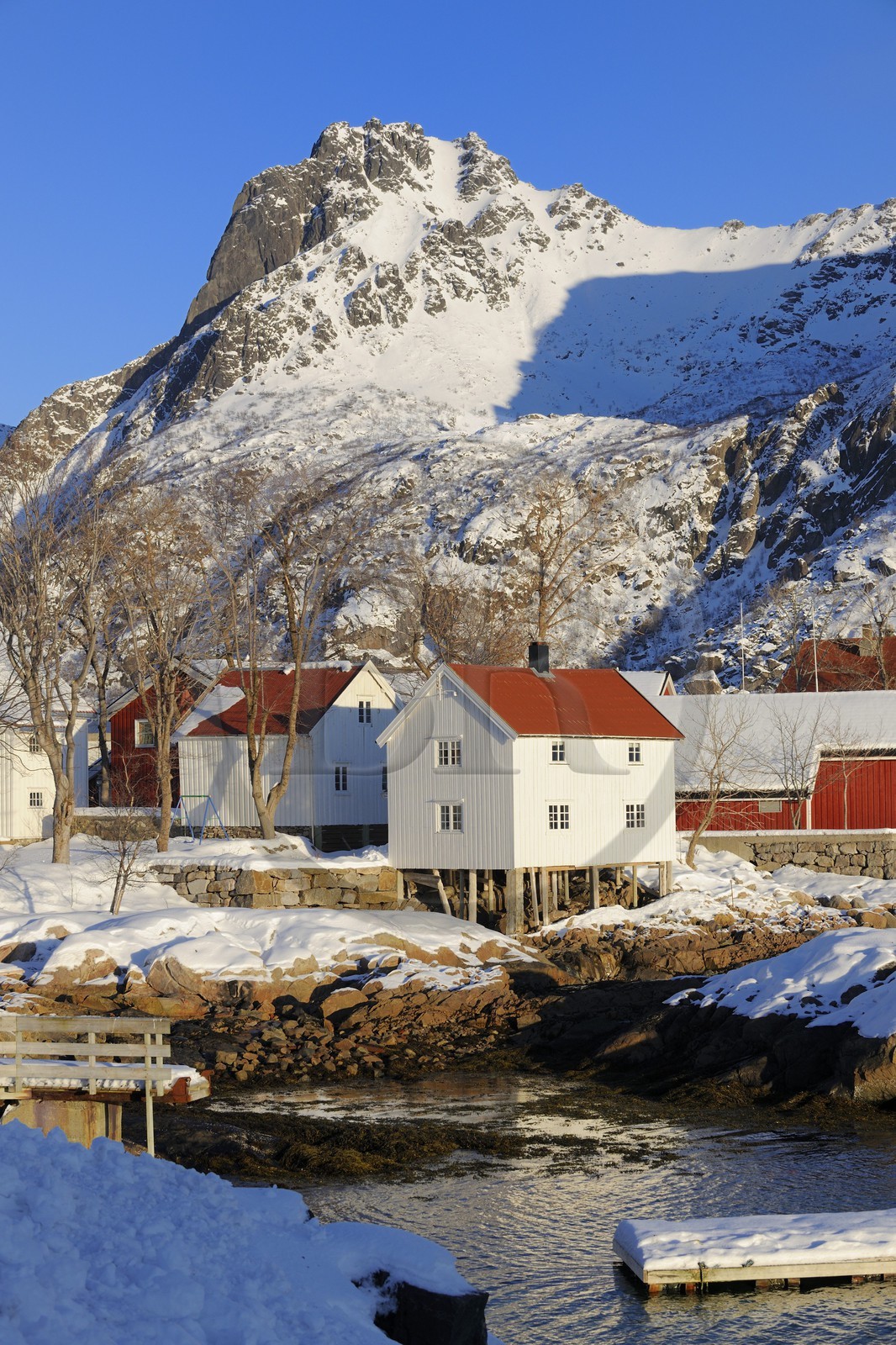 Norvège, Nordland, Îles Lofoten, le port de Svolvaer, maisons en bois