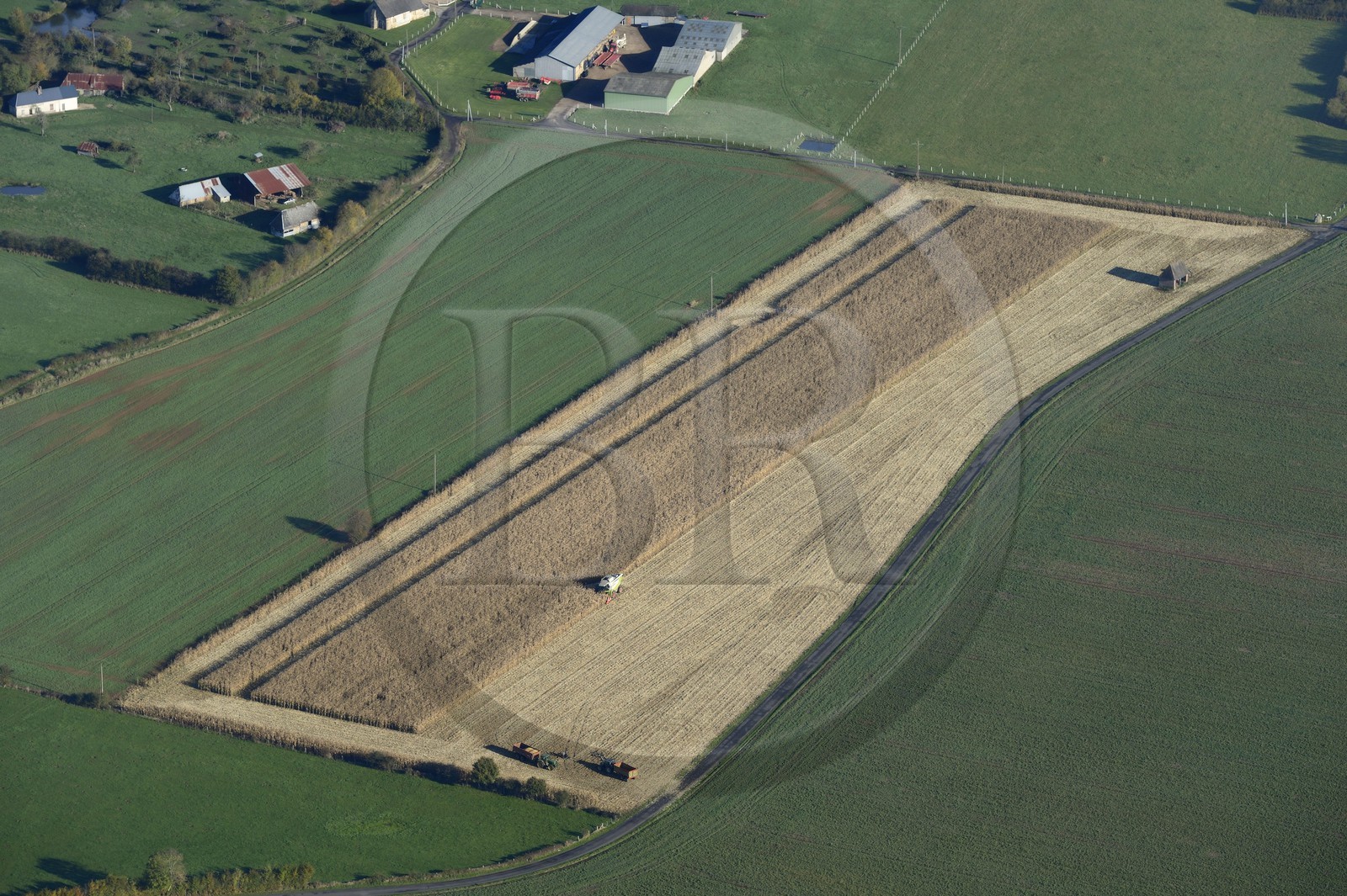 France, Eure (27), La Barre-en-Ouche, fauchage du blé (vue aérienne)