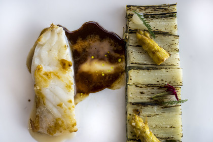 France, Finistère, Morlaix bay, Carantec, Michelin-starred Nicolas Carro restaurant at the Hôtel de Carantec, fish from the Breton coast with a variation of white asparagus with buttermilk and chervil oil with brown mushroom juice
