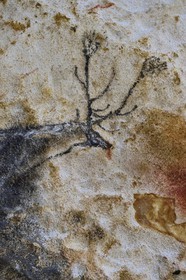 France, Dordogne, Montignac, the Atelier des Fac-Similés du Périgord (Perigord's Facsimile Workshop AFSP) specialised in mineral reproduction of prehistoric painted walls using “stone veil” patented technique and in charge of the Lascaux cave’s walls faithfull reconstitution, deer, compulsory mention Atelier des Fac-Similés du Perigord