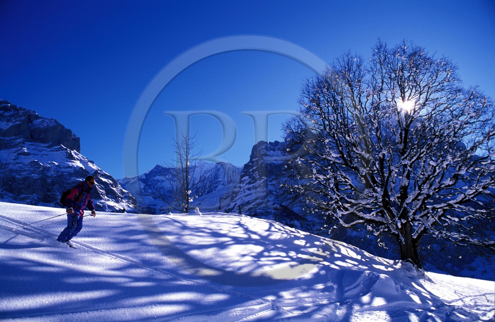 Suisse, région de Bern (Oberland Bernois), une piste de ski à Grindelwald