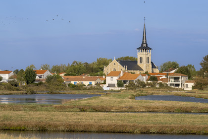France, Vendee, L'Ile d'Olonne next to Les Sables d'Olonne, the Saint-Martin-de-Vertou church on the edge of the salt marshes