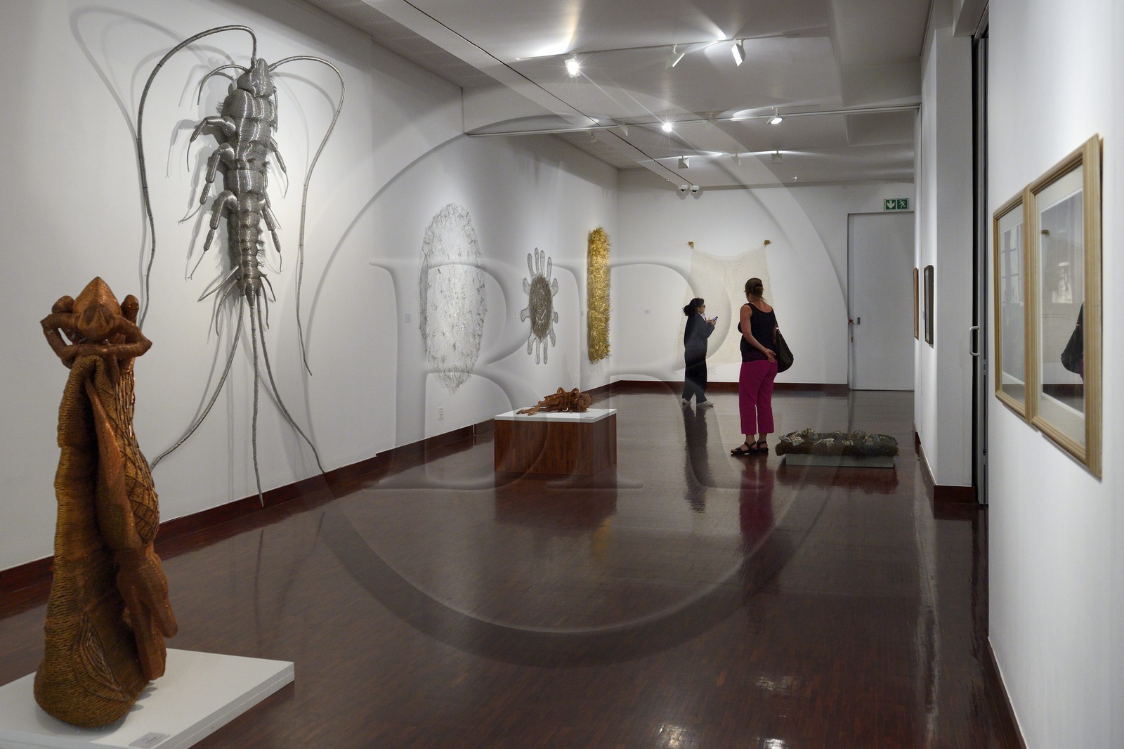 South Africa, Gauteng Province, Johannesburg, the Standard Bank Gallery, In the Weave, an exhibition of works by Walter Oltmann, one of South Africa’s best known artists