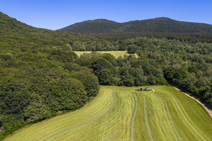 France, Puy-de-Dôme (63), Saint-Ours-les-Roches, hameau de Beauregard, tracteur récoltant le fourrage avec une presse enrubanneuse de balles de foin dans un champ (vue aérienne)