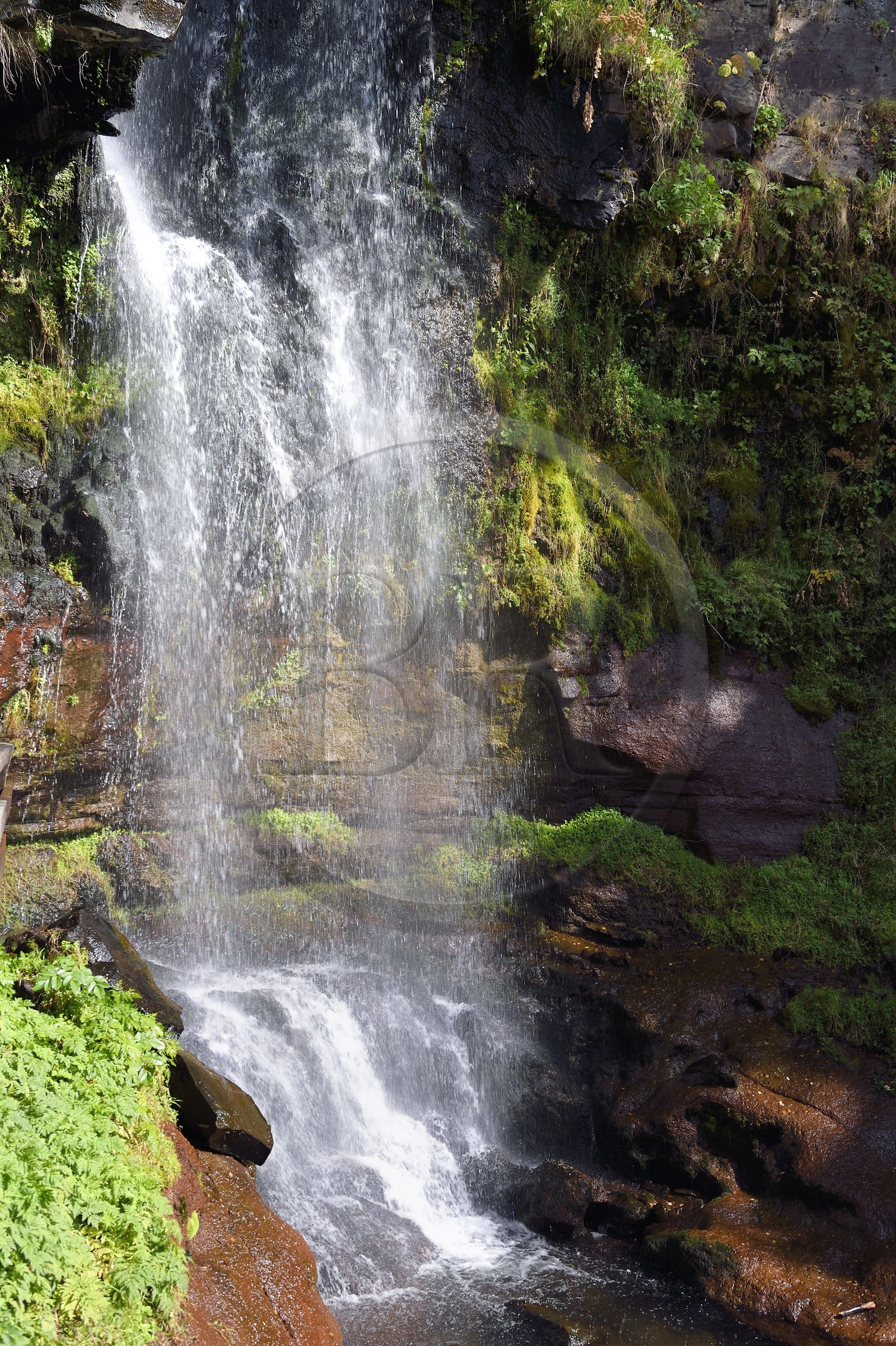France, Cantal (15), Parc Naturel Régional des Volcans d’Auvergne, vallée de Brezons, hameau de Sanissage, la cascade du Saut de la Truite