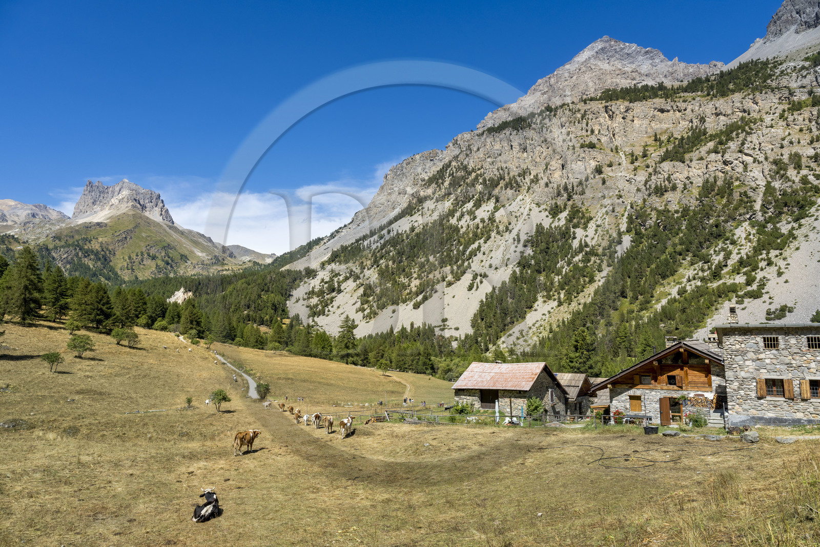 France, Hautes Alpes (05), Névache, la Vallée Étroite à la frontière italienne, hameau les Granges, le Grand Séru en arrière plan