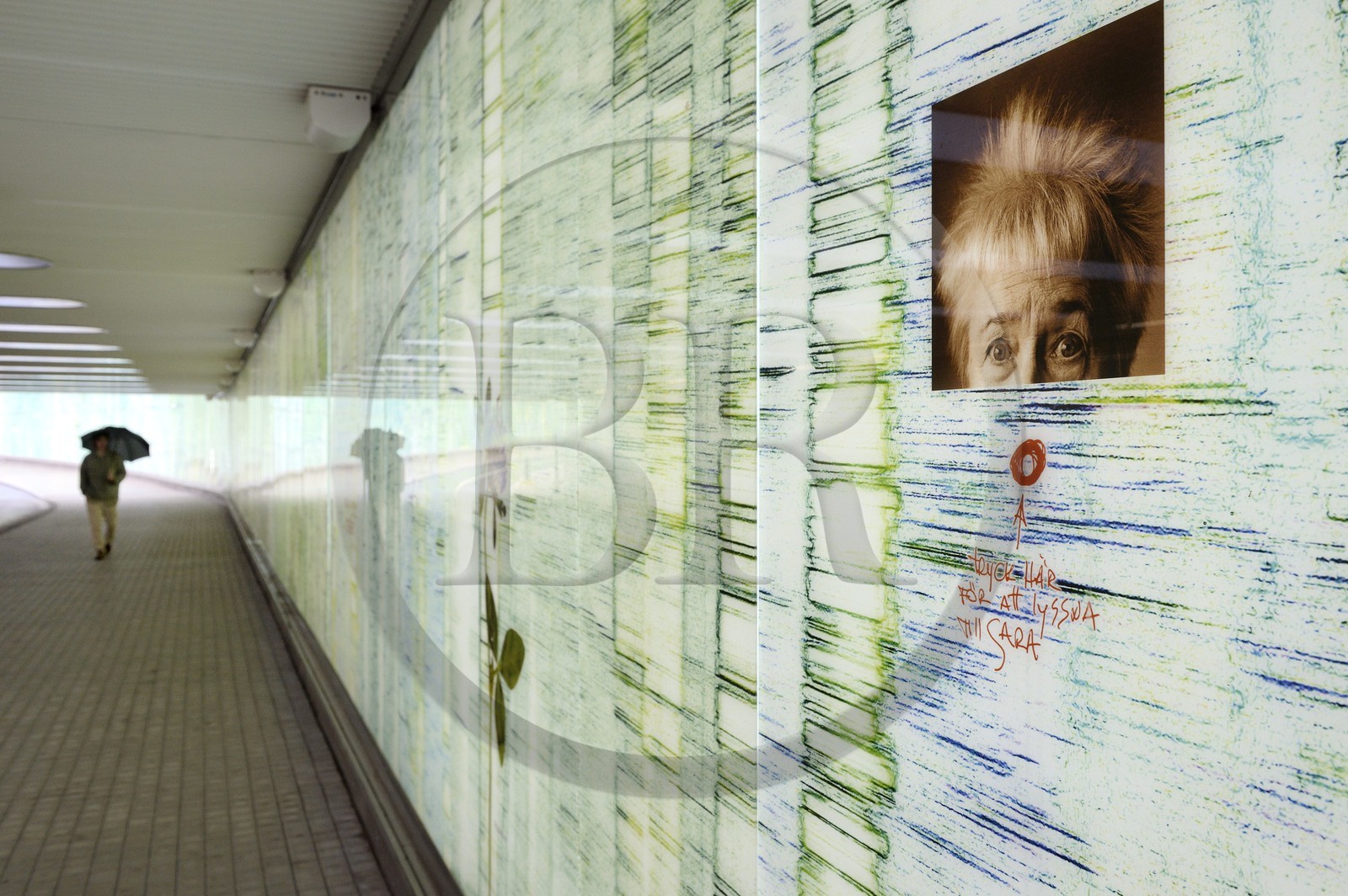 Sweden, Vasterbotten County, Umea, tribute to writer Sara Lidman in the pedestrian and bicycle tunnel to the central station, collective work including Gustavo Aguerre